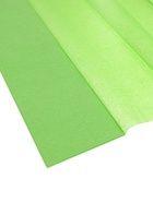 Бумага крепированная 50?200 см, в рулоне, 32 г/м?, светло-зелёная (комплект 10 шт) - фото 59297384 Бумага крепированная 50?200 см, в рулоне, 32 г/м?, светло-зелёная (комплект 10 шт) - фото 59297384