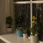 Гирлянда "Бахрома", УМС вилка, 5.2 х 0.6 м, LED-299-220V, мигает, нить прозрачная, свечение мульти (RGB) - Фото 2