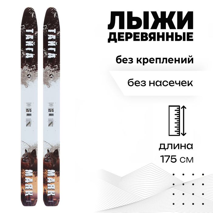 Лыжи деревянные «Тайга», 175 см - Фото 1