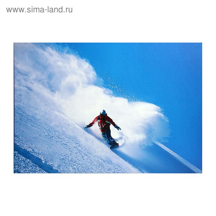 Картина на холсте "Спорт лыжи" 50*70см - Фото 1
