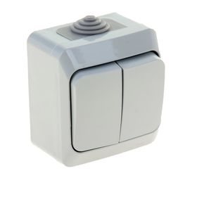 Выключатель "Этюд" SchE BA10-042C, 10 А, 2 клавиши, наружный, IP44, цвет серый