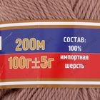 Пряжа "Аргентинская шерсть" 100% импортная п/т шерсть 200м/100гр (113, какао) - Фото 3