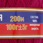 Пряжа "Аргентинская шерсть" 100% импортная п/т шерсть 200м/100гр (191, цикламен) - Фото 3