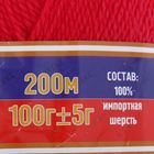 Пряжа "Аргентинская шерсть" 100% импортная п/т шерсть 200м/100гр (053, малина) - Фото 3