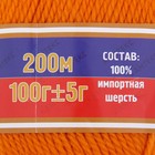 Пряжа "Аргентинская шерсть" 100% импортная п/т шерсть 200м/100гр (035, оранж.) - Фото 3