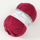 Пряжа "Аргентинская шерсть" 100% импортная шерсть 200м/100гр (088, брусника) - Фото 2