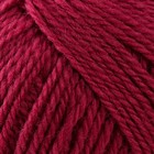 Пряжа "Аргентинская шерсть" 100% импортная шерсть 200м/100гр (088, брусника) - Фото 3