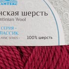 Пряжа "Аргентинская шерсть" 100% импортная шерсть 200м/100гр (088, брусника) - Фото 4