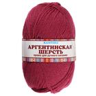 Пряжа "Аргентинская шерсть" 100% импортная шерсть 200м/100гр (088, брусника) - Фото 5