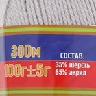 Пряжа "Нимфа" 35% импортная п/т шерсть, 65% акрил 300м/100гр (008, серебристый) - Фото 3