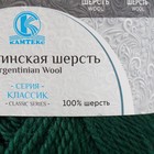 Пряжа "Аргентинская шерсть" 100% импортная п/т шерсть 200м/100гр (110, зеленый) - Фото 4