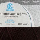 Пряжа "Аргентинская шерсть" 100% импортная п/т шерсть 200м/100гр (063, шоколад) - Фото 2