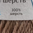 Пряжа "Аргентинская шерсть" 100% импортная п/т шерсть 200м/100гр (007, лен) - Фото 2