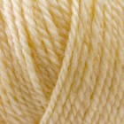 Пряжа "Бамбино" 35% шерсть меринос, 65% акрил 150м/50гр (031, шамп) - Фото 3