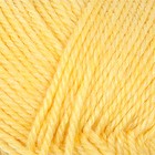 Пряжа "Бамбино" 35% шерсть меринос, 65% акрил 150м/50гр (031, шамп) - Фото 4