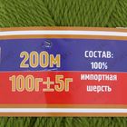Пряжа "Аргентинская шерсть" 100% импортная п/т шерсть 200м/100гр (038, оливк) - Фото 3