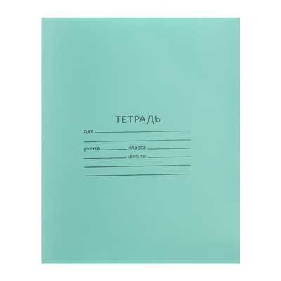 Тетрадь 12 листов в линейку «Зелёная обложка», бумажная обложка плотностью 58-63 г/м², серые листы