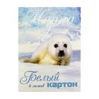 Картон белый А4, 8 листов "Белая нерпа" - Фото 1