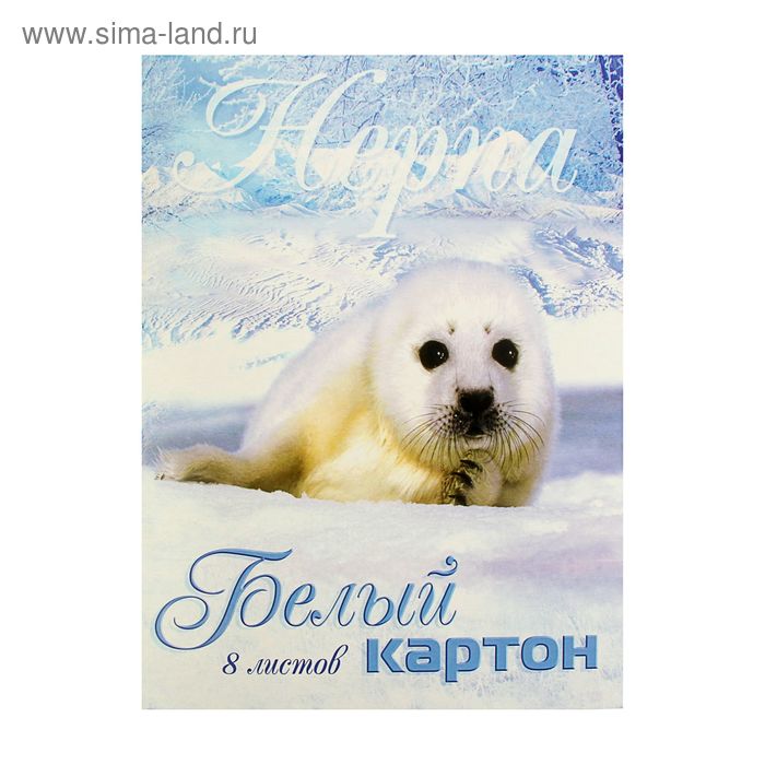 Картон белый А4, 8 листов "Белая нерпа" - Фото 1