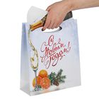 Пакет подарочный «Шампанское», 26 × 38 см - Фото 1