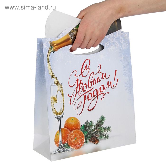 Пакет подарочный «Шампанское», 26 × 38 см - Фото 1