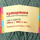 Пряжа "Хуторянка" 100% шерсть 170м/100гр (0644, водопад) - Фото 3