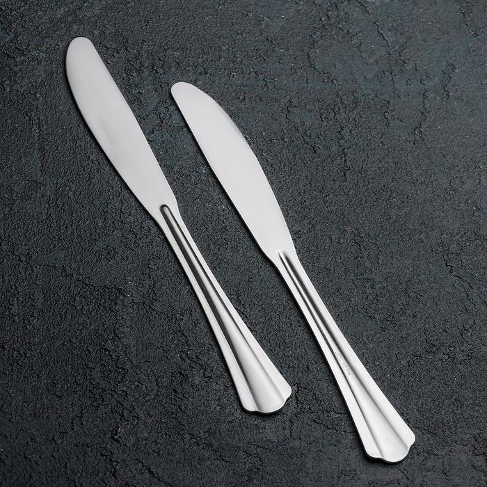Нож столовый «Новинка», длина=19 см,толщина 1,2 мм, цвет серебряный - фото 1908253985
