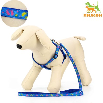 Комплект «Цветные следы», ширина 1 см, поводок 120 см, шлейка 23-35 см, синий