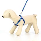 Комплект «Цветные следы», ширина 1 см, поводок 120 см, шлейка 23-35 см, синий - Фото 2