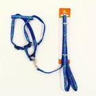 Комплект «Цветные следы», ширина 1 см, поводок 120 см, шлейка 23-35 см, синий - Фото 11