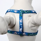 Комплект «Цветные следы», ширина 1 см, поводок 120 см, шлейка 23-35 см, синий - Фото 12