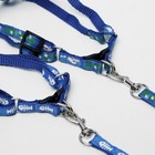 Комплект «Цветные следы», ширина 1 см, поводок 120 см, шлейка 23-35 см, синий - Фото 14