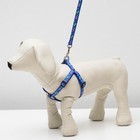 Комплект «Цветные следы», ширина 1 см, поводок 120 см, шлейка 23-35 см, синий - Фото 15