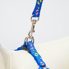 Комплект «Цветные следы», ширина 1 см, поводок 120 см, шлейка 23-35 см, синий - Фото 3