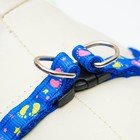 Комплект «Цветные следы», ширина 1 см, поводок 120 см, шлейка 23-35 см, синий - Фото 4