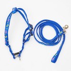 Комплект «Цветные следы», ширина 1 см, поводок 120 см, шлейка 23-35 см, синий - Фото 5