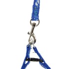 Комплект «Цветные следы», ширина 1 см, поводок 120 см, шлейка 23-35 см, синий - Фото 6