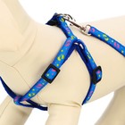 Комплект «Цветные следы», ширина 1 см, поводок 120 см, шлейка 23-35 см, синий - Фото 8