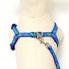 Комплект «Цветные следы», ширина 1 см, поводок 120 см, шлейка 23-35 см, синий - Фото 9