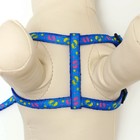 Комплект «Цветные следы», ширина 1 см, поводок 120 см, шлейка 23-35 см, синий - Фото 10