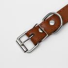 Ошейник "Лион" с шипами 45 х 2 см, ОШ 34-40 см, коричневый - Фото 4