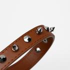 Ошейник "Лион" с шипами 45 х 2 см, ОШ 34-40 см, коричневый - Фото 5