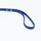 Поводок "Основа" 120 х 1 см, синий - Фото 3