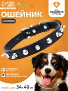 Ошейник с шипами «Лион», 45×2 см, ОШ 34-40 см, искусственная кожа, чёрный - Фото 1