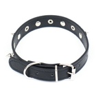 Ошейник с шипами «Лион», 45×2 см, ОШ 34-40 см, искусственная кожа, чёрный - Фото 3