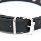 Ошейник с шипами «Лион», 45×2 см, ОШ 34-40 см, искусственная кожа, чёрный - Фото 4