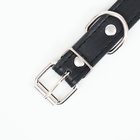 Ошейник с шипами «Лион», 45×2 см, ОШ 34-40 см, искусственная кожа, чёрный - Фото 6