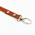 Поводок "Основа" 120 х 1 см, коричневый - Фото 3