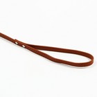 Поводок "Основа" 120 х 1 см, коричневый - Фото 2
