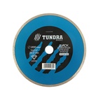 Диск алмазный отрезной ТУНДРА, сплошной, мокрый рез, 200×22 мм - Фото 2